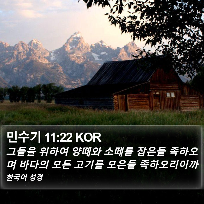 민수기 11:22 KOR Bible Study