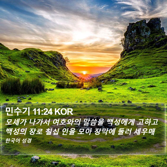 민수기 11:24 KOR Bible Study