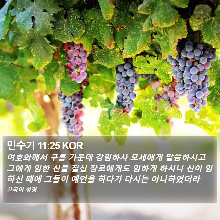 민수기 11:25 KOR Bible Study