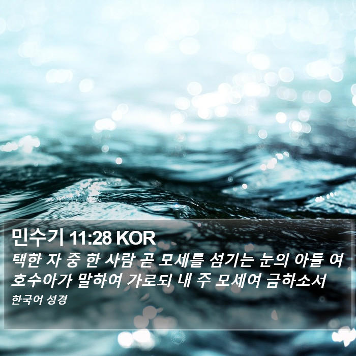 민수기 11:28 KOR Bible Study