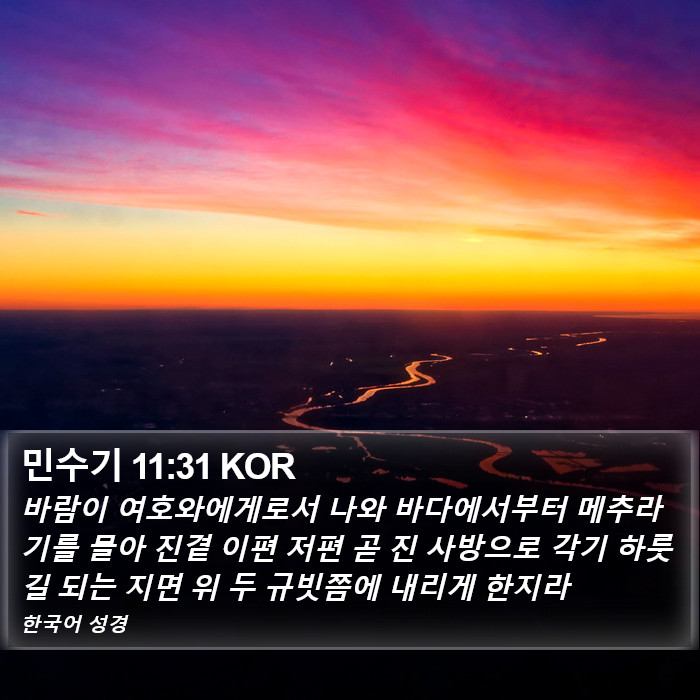 민수기 11:31 KOR Bible Study