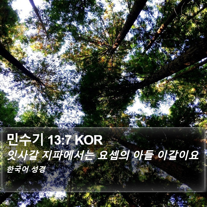 민수기 13:7 KOR Bible Study