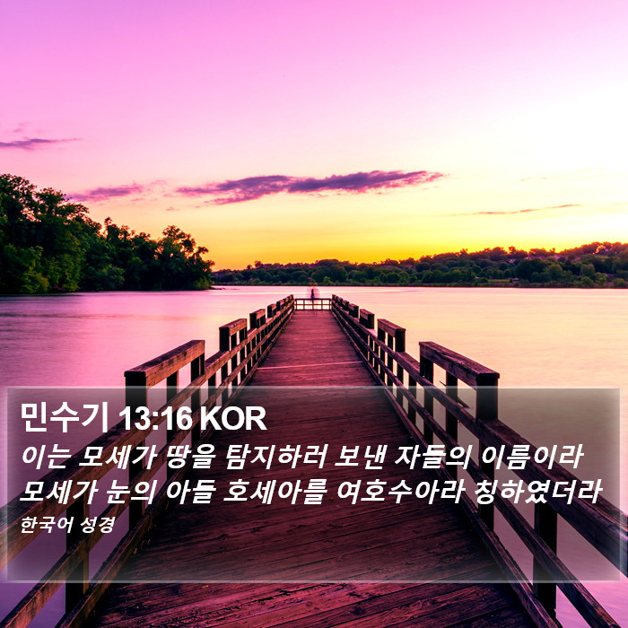 민수기 13:16 KOR Bible Study