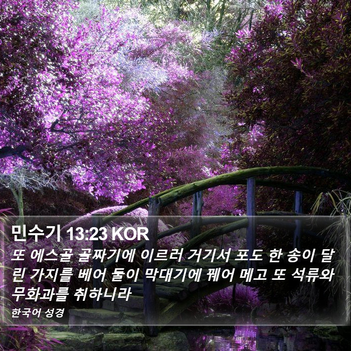 민수기 13:23 KOR Bible Study