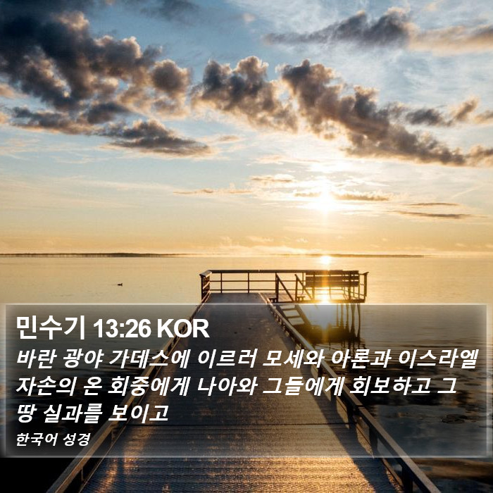 민수기 13:26 KOR Bible Study