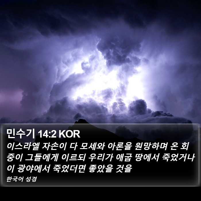 민수기 14:2 KOR Bible Study