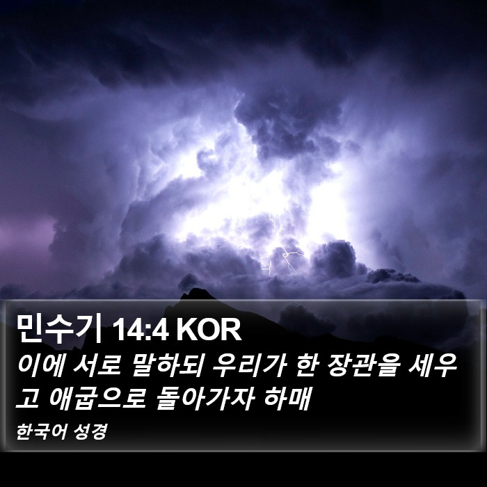 민수기 14:4 KOR Bible Study