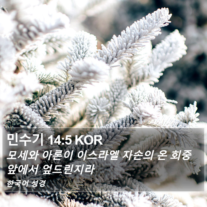 민수기 14:5 KOR Bible Study