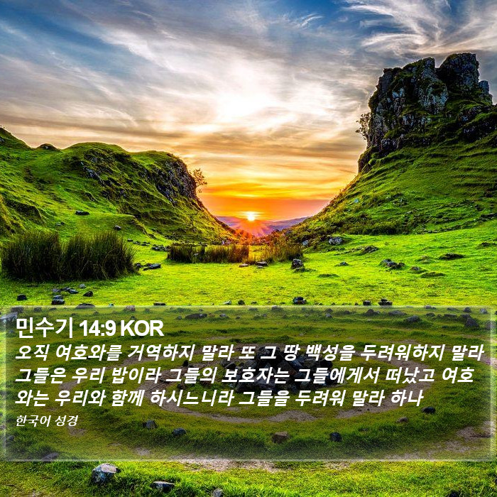 민수기 14:9 KOR Bible Study