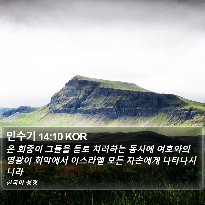 민수기 14:10 KOR Bible Study