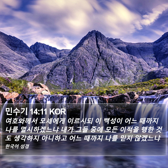 민수기 14:11 KOR Bible Study