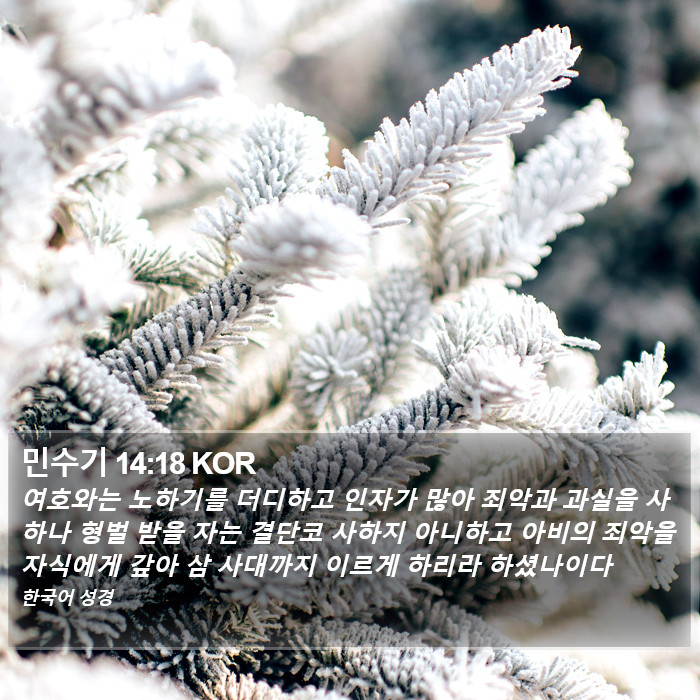 민수기 14:18 KOR Bible Study