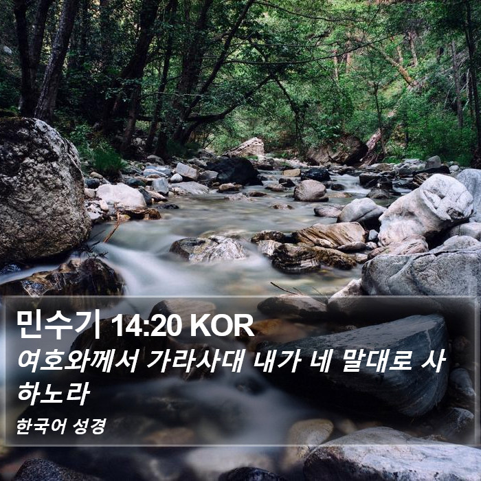 민수기 14:20 KOR Bible Study