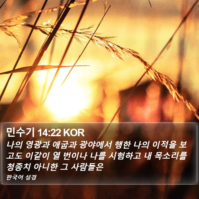 민수기 14:22 KOR Bible Study