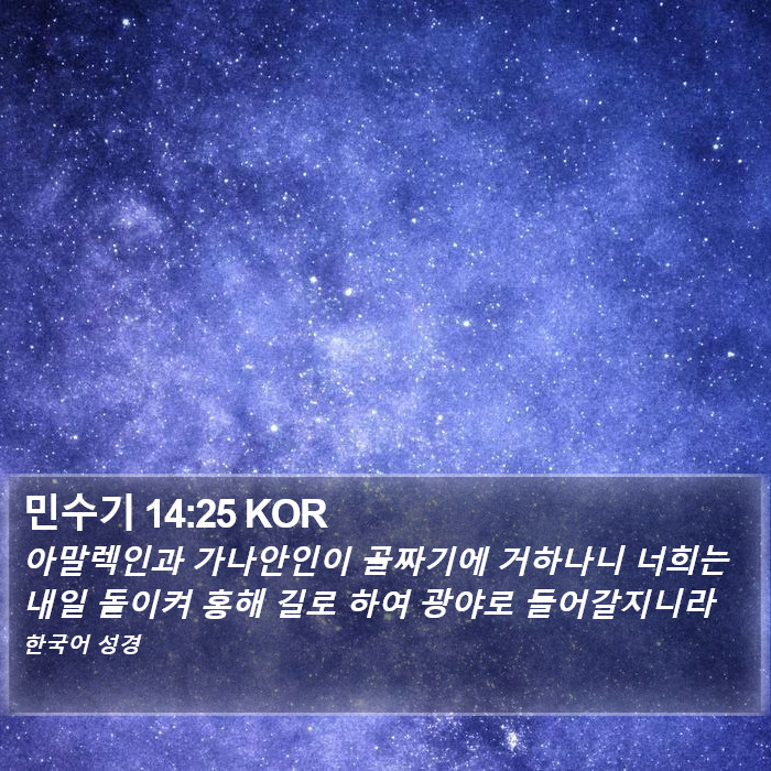 민수기 14:25 KOR Bible Study