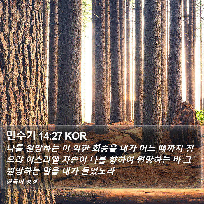 민수기 14:27 KOR Bible Study