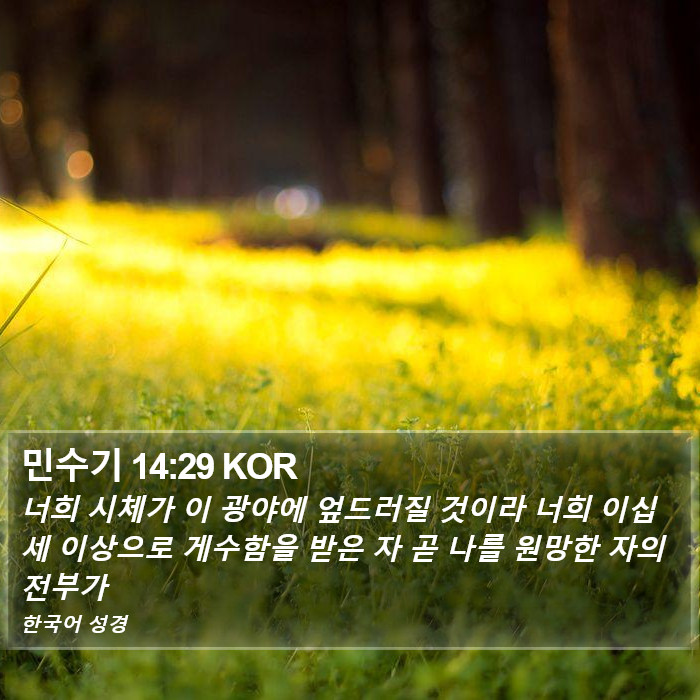 민수기 14:29 KOR Bible Study