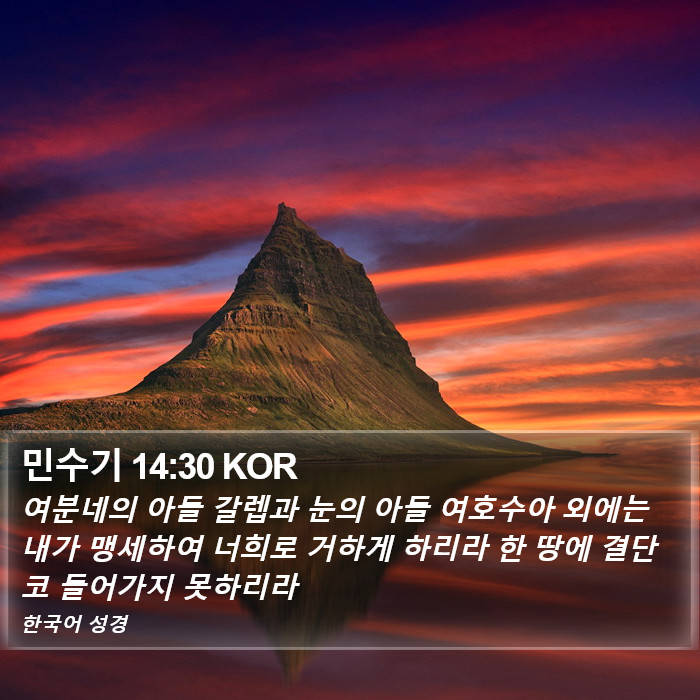 민수기 14:30 KOR Bible Study