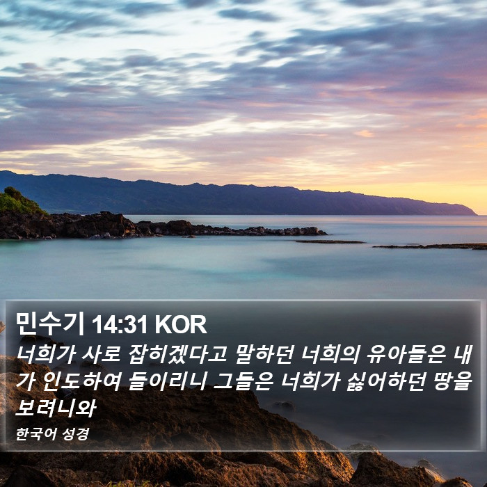 민수기 14:31 KOR Bible Study