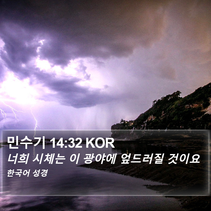 민수기 14:32 KOR Bible Study