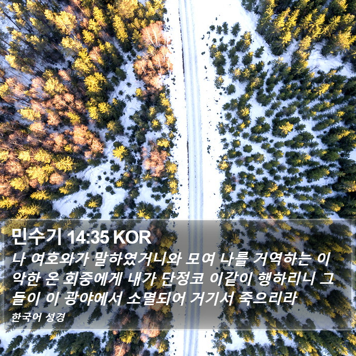 민수기 14:35 KOR Bible Study