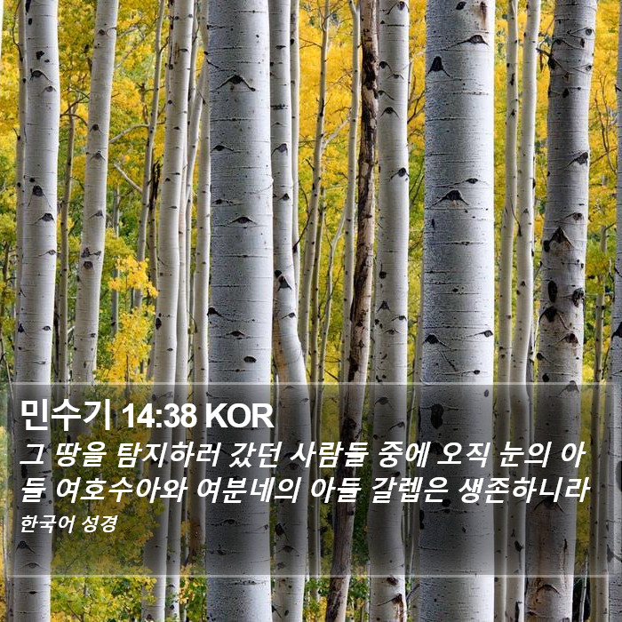 민수기 14:38 KOR Bible Study