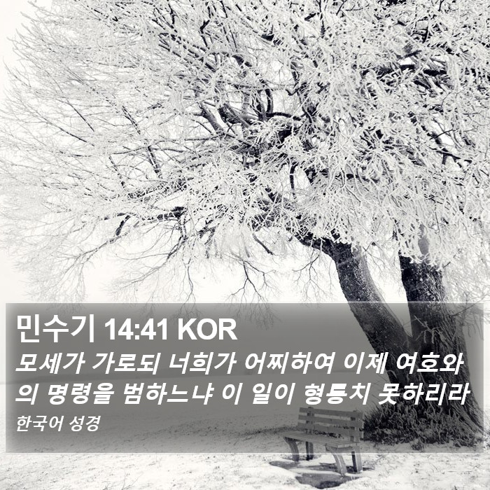 민수기 14:41 KOR Bible Study