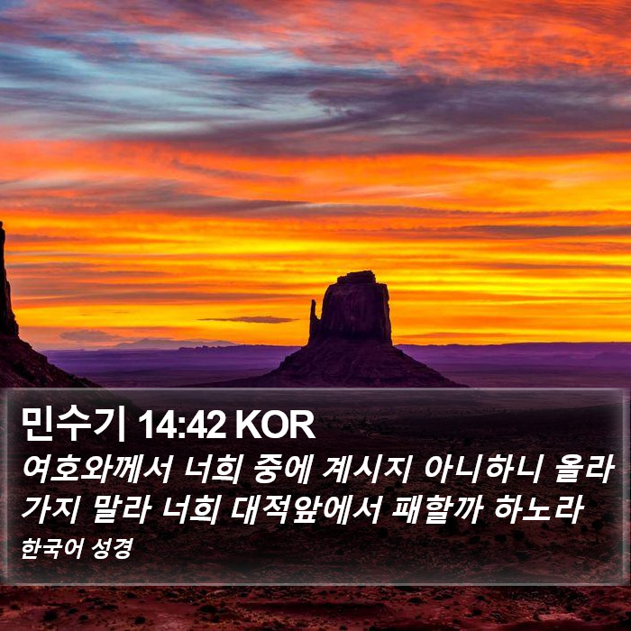 민수기 14:42 KOR Bible Study