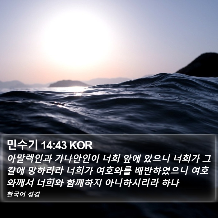 민수기 14:43 KOR Bible Study