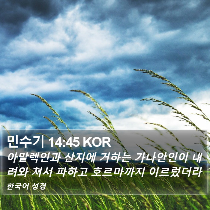 민수기 14:45 KOR Bible Study