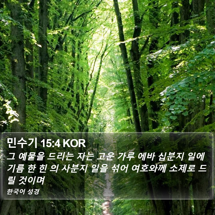 민수기 15:4 KOR Bible Study