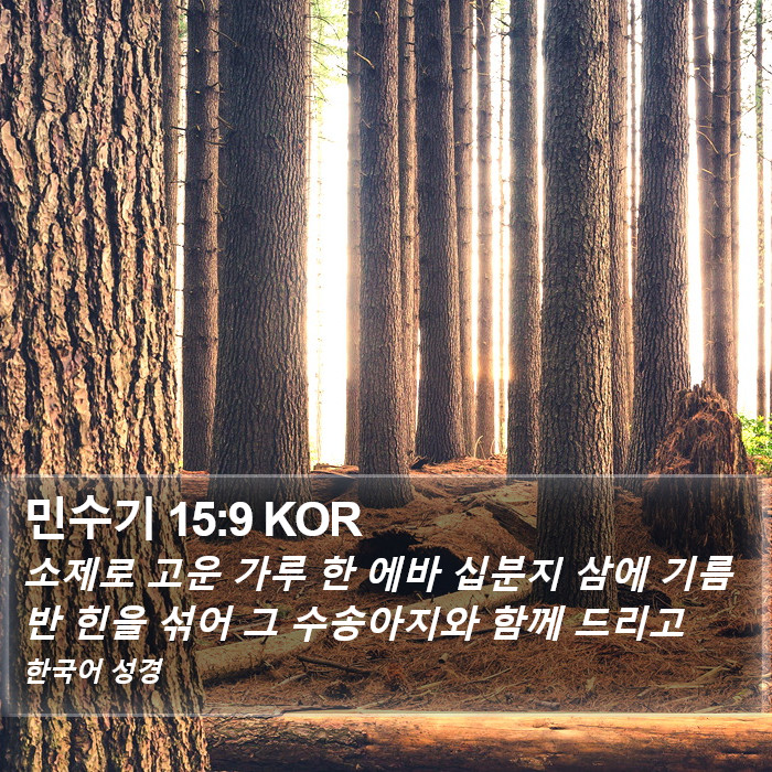 민수기 15:9 KOR Bible Study