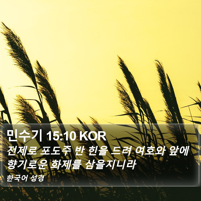 민수기 15:10 KOR Bible Study