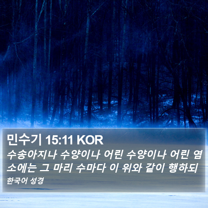 민수기 15:11 KOR Bible Study