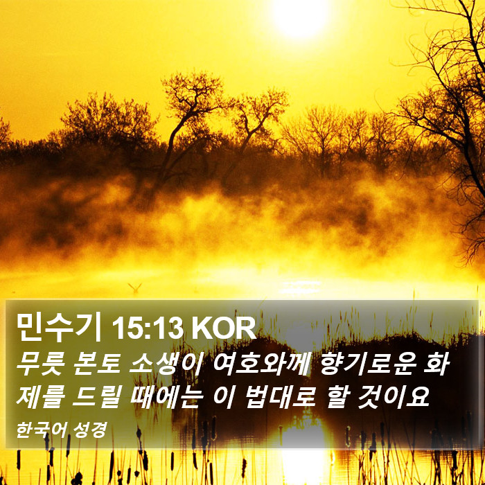 민수기 15:13 KOR Bible Study