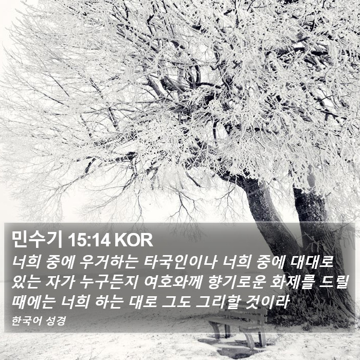 민수기 15:14 KOR Bible Study