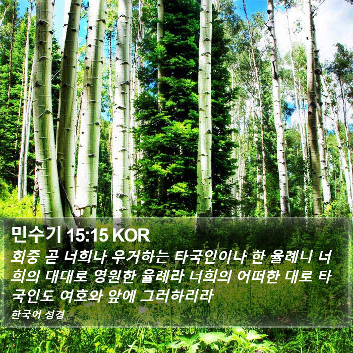 민수기 15:15 KOR Bible Study