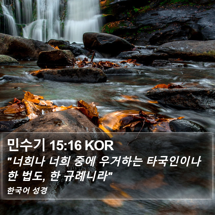 민수기 15:16 KOR Bible Study