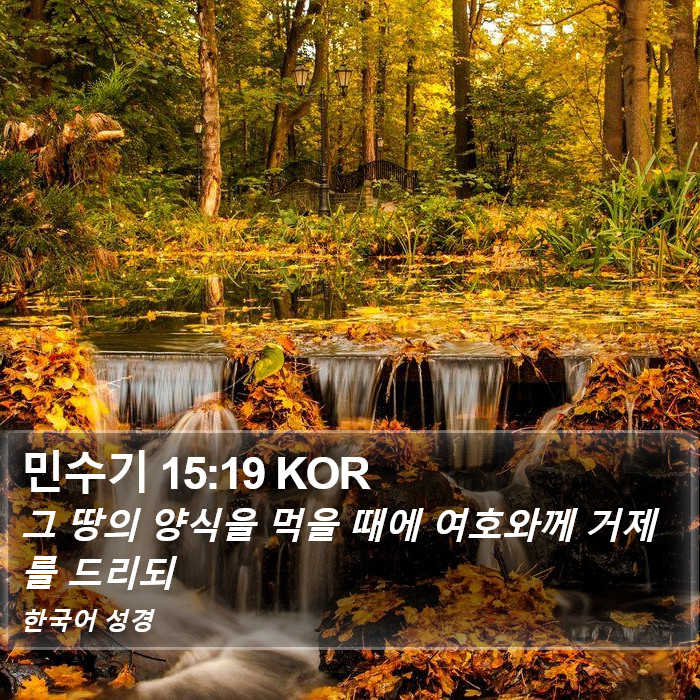 민수기 15:19 KOR Bible Study