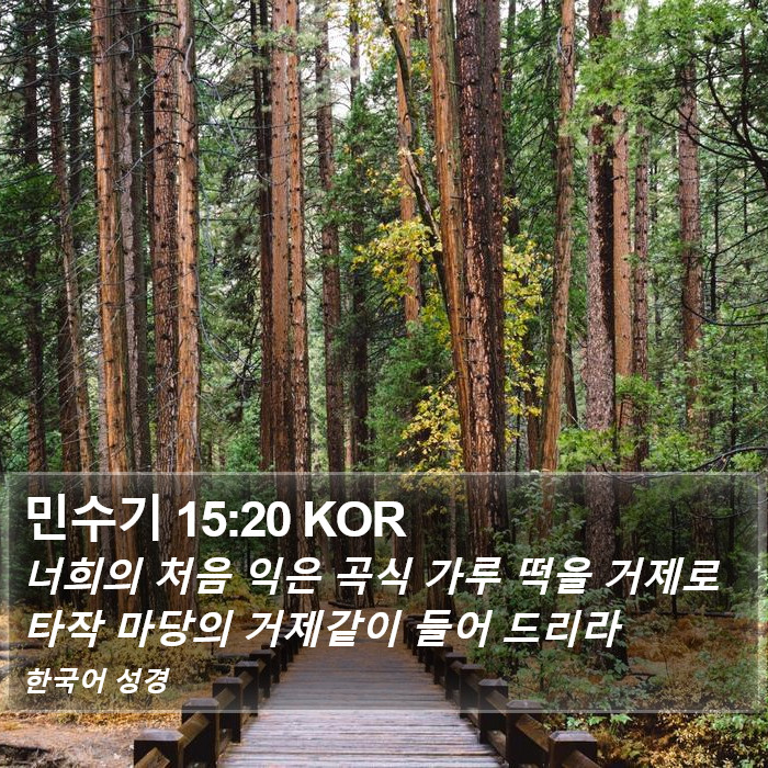 민수기 15:20 KOR Bible Study