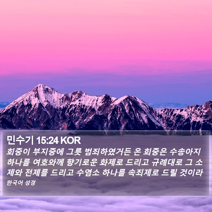 민수기 15:24 KOR Bible Study