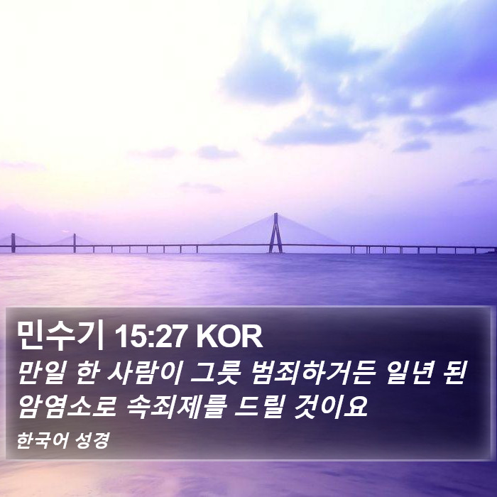 민수기 15:27 KOR Bible Study