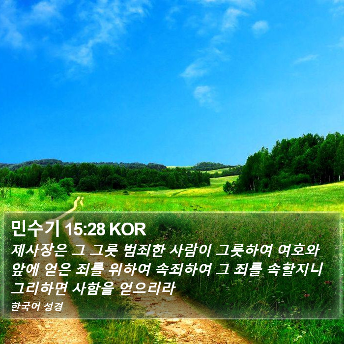 민수기 15:28 KOR Bible Study