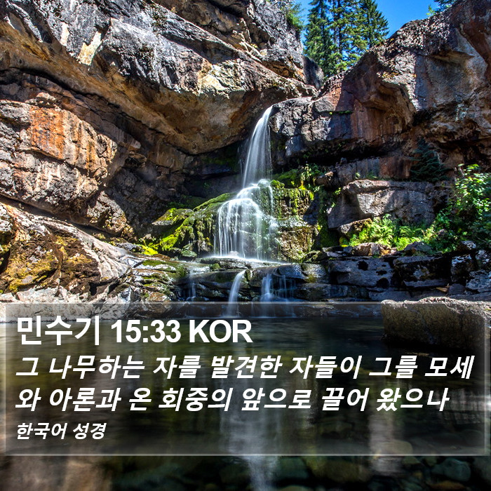 민수기 15:33 KOR Bible Study