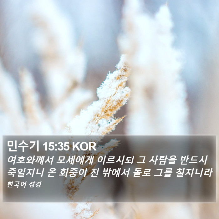 민수기 15:35 KOR Bible Study