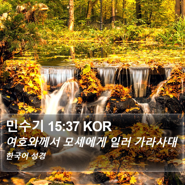 민수기 15:37 KOR Bible Study