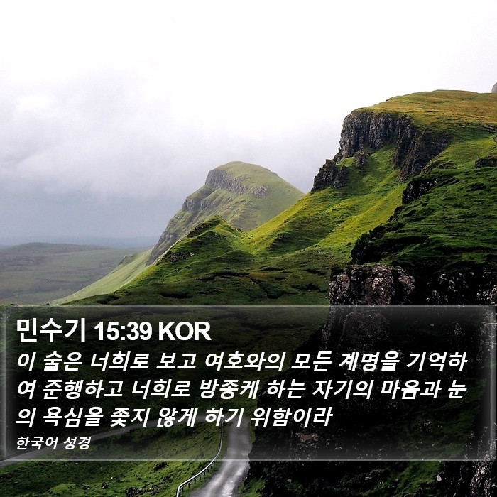 민수기 15:39 KOR Bible Study