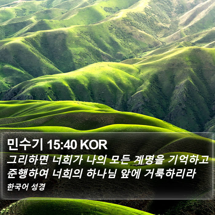 민수기 15:40 KOR Bible Study