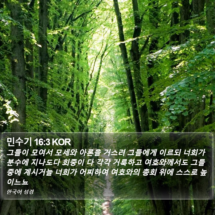 민수기 16:3 KOR Bible Study