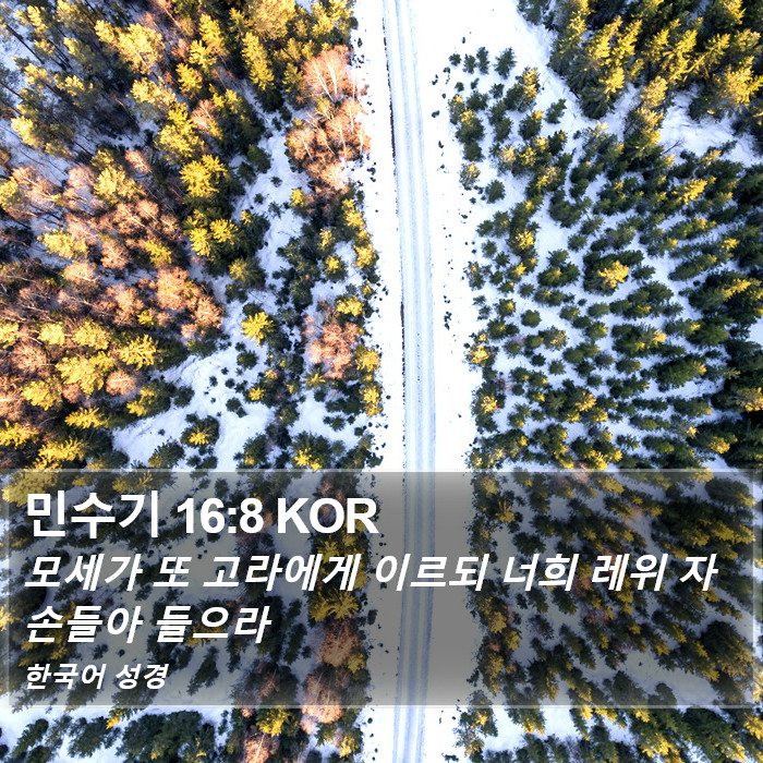 민수기 16:8 KOR Bible Study